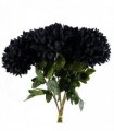 Silk Black 75cm Pack of 6 x 75cm Extra Large Reflex Chrysanthemum - Black