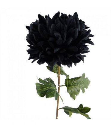 Silk Black 75cm Pack of 6 x 75cm Extra Large Reflex Chrysanthemum - Black