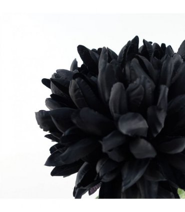 Silk Black 75cm Pack of 6 x 75cm Extra Large Reflex Chrysanthemum - Black