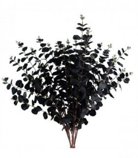 Pack of 6 x 80cm Black Eucalyptus Foliage Stem