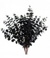 Pack of 6 x 80cm Black Eucalyptus Foliage Stem