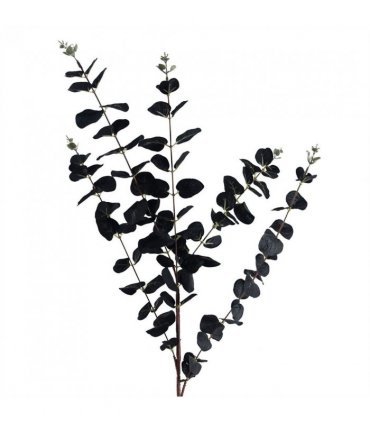 Pack of 6 x 80cm Black Eucalyptus Foliage Stem