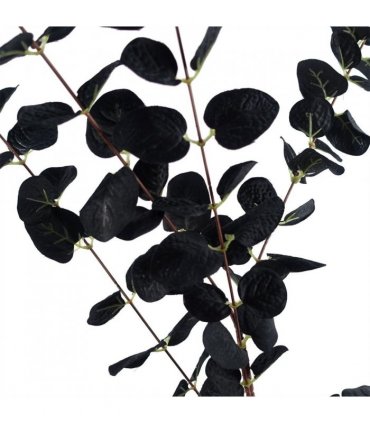 Pack of 6 x 80cm Black Eucalyptus Foliage Stem