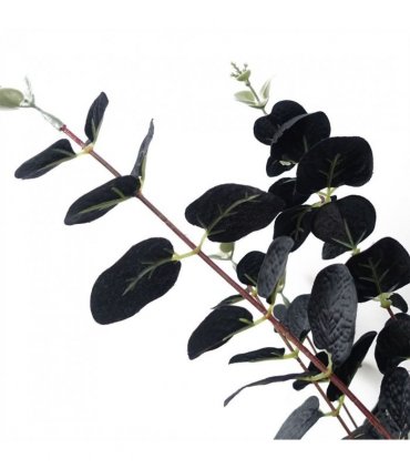 Pack of 6 x 80cm Black Eucalyptus Foliage Stem