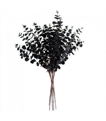 Pack of 6 x 80cm Black Eucalyptus Foliage Stem