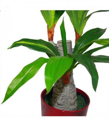 75cm Artificial Dracaena Plant - Wide Trunk Triple Branch Large