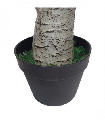 75cm Artificial Dracaena Plant - Wide Trunk Triple Branch Large