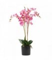 60cm Leaf Design UK Realistic Artificial Orchid Flower Display in Pot