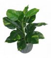 60cm Leaf Design UK Realistic Large Artificial Foliage Plant with Pot