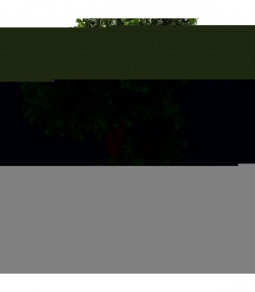Outdoor Topiary Green 120cm Pair of Spiral Buxus Artificial Trees UV Resistant