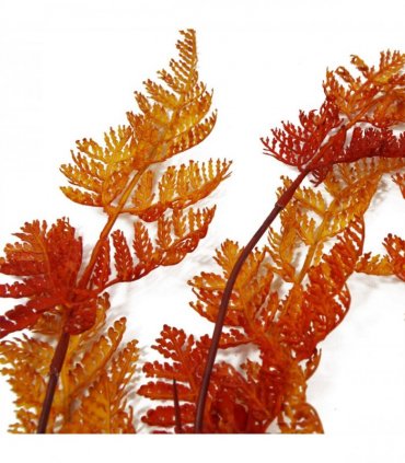 Artificial Hanging Maidenhair Fern Plant Autumn Orange 100cm Pack of 6 x 100cm