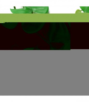 6 x 180cm Artificial Hanging Trailing Monstera Plant