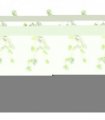 Trailing Plant Alocasia Dragon Scale Light Green Variegated 120cm Pack of 6