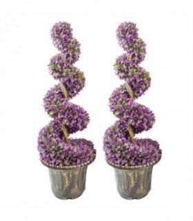 90cm Pair of Purple Large Leaf Spiral Topiary Trees with Decorative Planters