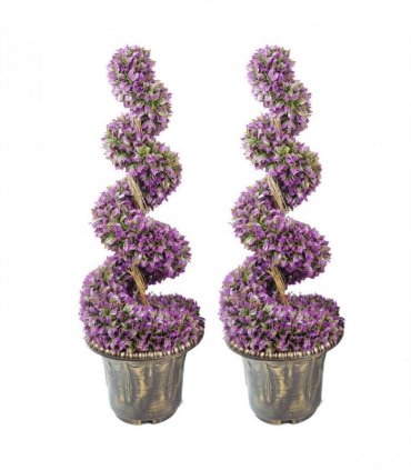 90cm Pair of Purple Large Leaf Spiral Topiary Trees with Decorative Planters
