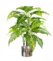 Tree Artificial Plant Large Fox's Aglaonema 100cm Green Silver Variegated