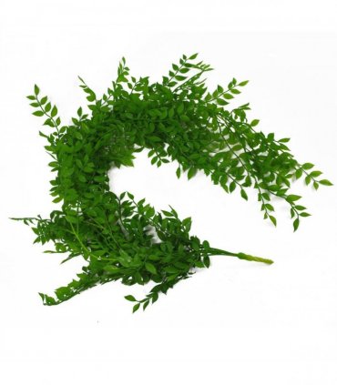 Fern Plant 6 x 100cm Hanging String of Pearls Light Green Artificial Leaf UK