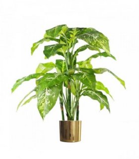 Artificial Plant 100cm Large Fox's Aglaonema Tree with Gold Metal Planter