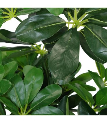 55cm Dark Green Artificial Schefflera Arboricola Plant