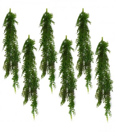 Artificial Plant 6 x 100cm Hanging String of Pearls Fern Dark Green Bare Stem