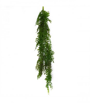 Artificial Plant 6 x 100cm Hanging String of Pearls Fern Dark Green Bare Stem