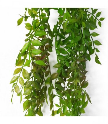 Artificial Plant 6 x 100cm Hanging String of Pearls Fern Dark Green Bare Stem