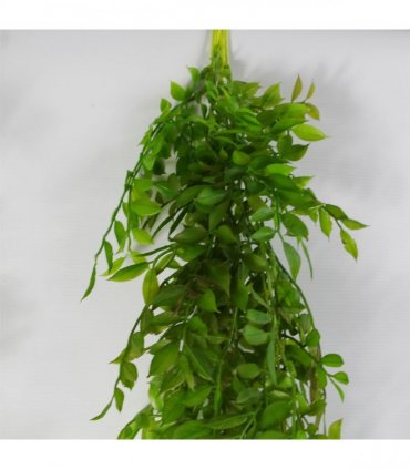 Artificial Plant 6 x 100cm Hanging String of Pearls Fern Dark Green Bare Stem
