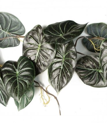 Hanging Trailing Plants Artificial 6x Alocasia Green 120cm Realistic Bare Stem