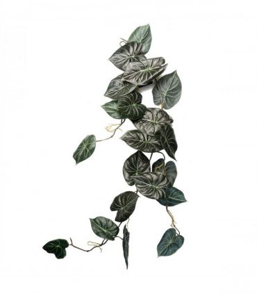 Hanging Trailing Plants Artificial 6x Alocasia Green 120cm Realistic Bare Stem