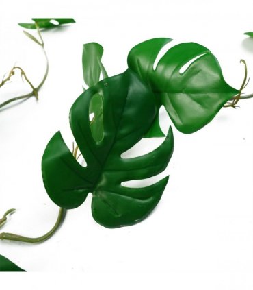 Artificial Hanging Trailing Monstera Plant 100cm Green Plastic Pack of 6