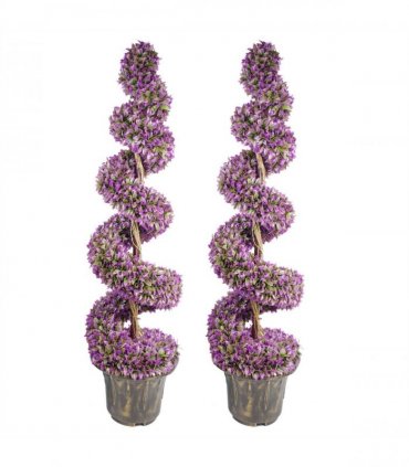 120cm Pair of Purple Large Leaf Spiral Topiary Trees with Decorative Planters