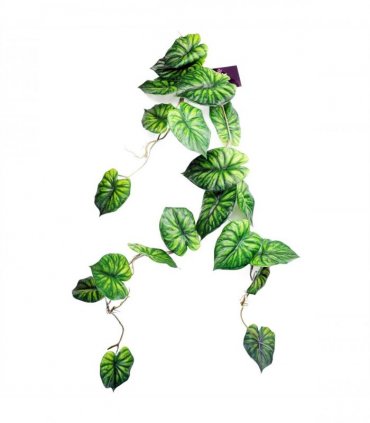 Artificial Hanging Trailing Plant Alocasia Dragon Scale Green 120cm Pack of 6