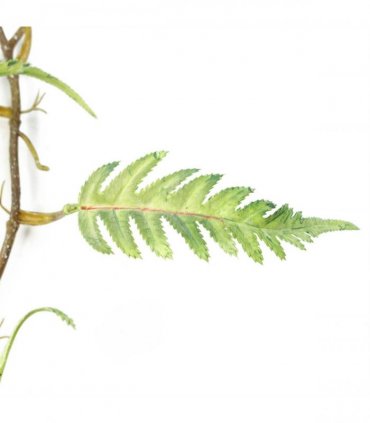 Artificial Hanging Trailing Fern Plant Green Large Leaf 125cm Pack of 6