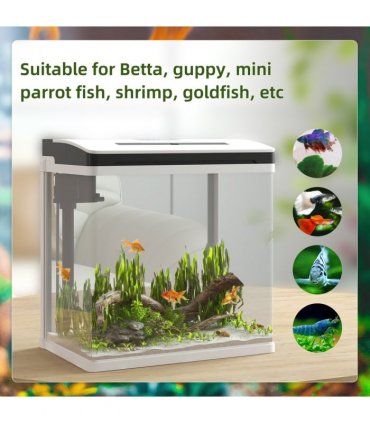 PawHut Aquarium 13L Glass Fish Tank w/ Filter, LED Lighting, Water Pump