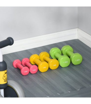 HOMCOM 6kg Dumbbell Fitness Weights Set for Men and Women, Home Gym Workout