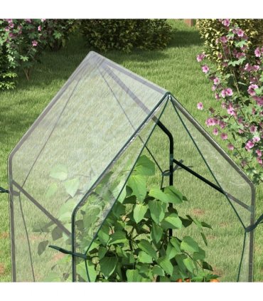 Steel, Plastic Clear 90L x 90W x 145Hcm Small Greenhouse with 2 Zipped Doors