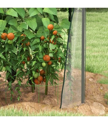 Steel, Plastic Clear 90L x 90W x 145Hcm Small Greenhouse with 2 Zipped Doors