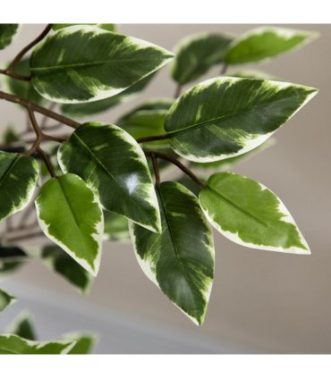 Artificial Ficus Tree Green Thick Plastic 15L x 15W x 130H cm - Lifelike Leaves