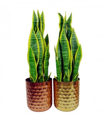 Honeycomb Metal Planter - Gold - 18cm x 15.5cm