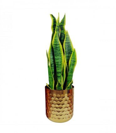 Honeycomb Metal Planter - Gold - 18cm x 15.5cm