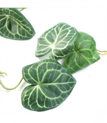 Artificial Hanging Trailing Ivy Plant Pack of 6 Realistic Round Green 100cm