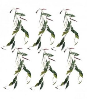 Artificial Hanging Trailing Begonia Maculata Purple Green 110cm Pack of 6