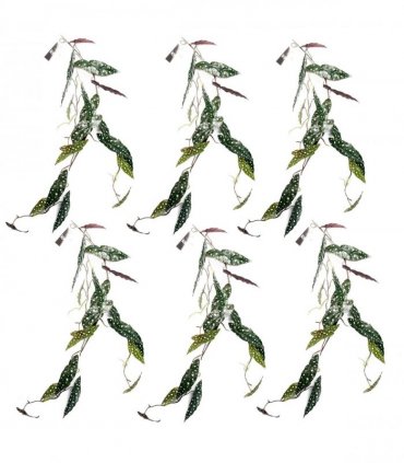 Artificial Hanging Trailing Begonia Maculata Purple Green 110cm Pack of 6
