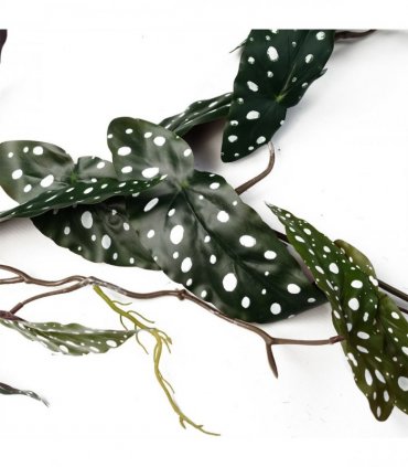 Artificial Hanging Trailing Begonia Maculata Purple Green 110cm Pack of 6
