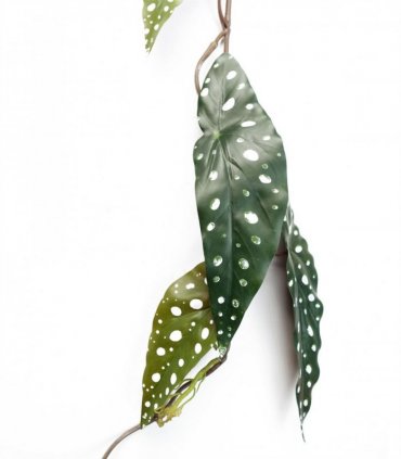 Artificial Hanging Trailing Begonia Maculata Purple Green 110cm Pack of 6