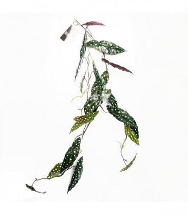 Artificial Hanging Trailing Begonia Maculata Purple Green 110cm Pack of 6