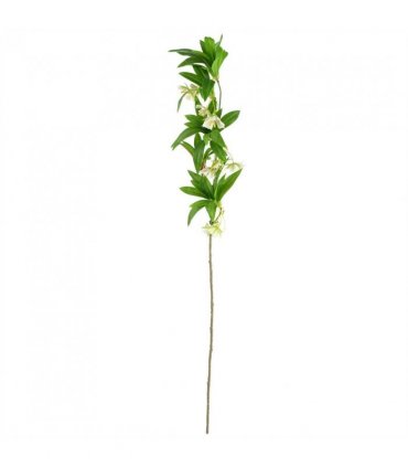 Pack of 6 x 90cm Artificial Hainan Elaeocarpus Stem