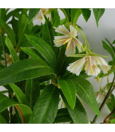 Pack of 6 x 90cm Artificial Hainan Elaeocarpus Stem
