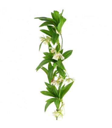 Pack of 6 x 90cm Artificial Hainan Elaeocarpus Stem