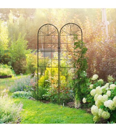 Metal Trellis Set of 2 Black Steel 50W x 180Hcm Climbing Plants Decoration
